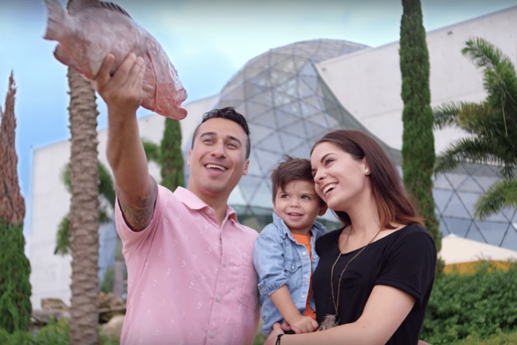 Steps to Follow to Start a Tourism Business in Florida