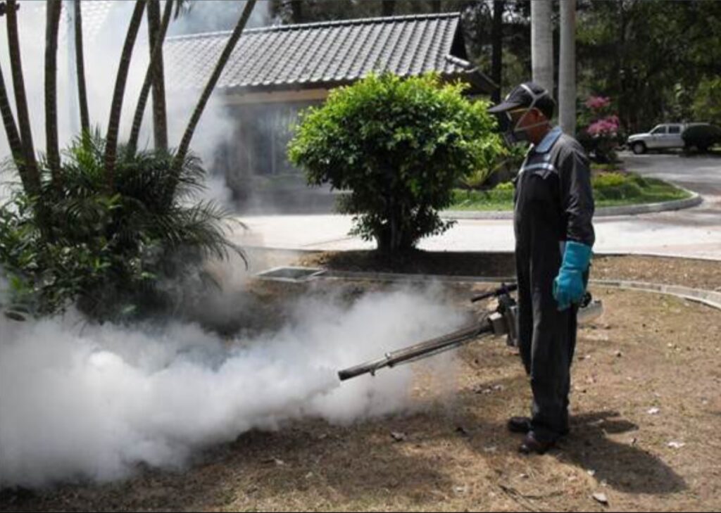 Mosquito Control: A Crucial Step in Public Health